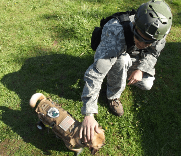 Inside My Estate Plan Angela W 2