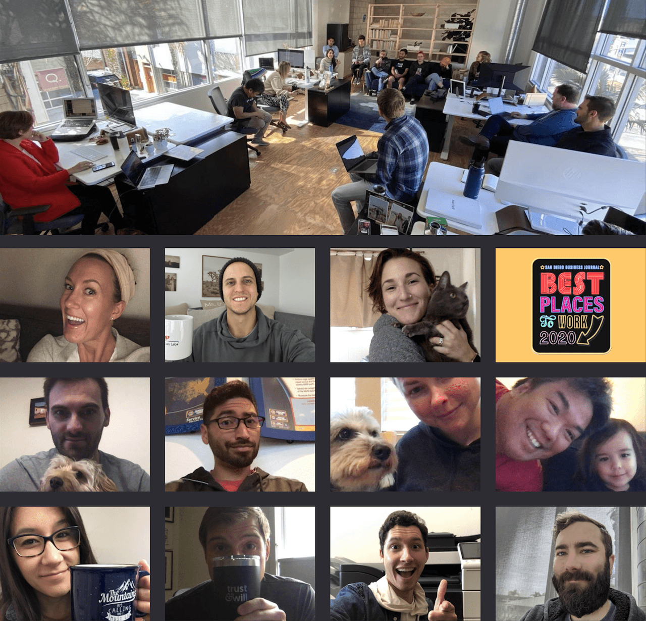 trust-and-will-series-b-funding-trust and will team